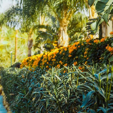 Sierra Blanca Resort Art Of Healing มาร์เบยา ภายนอก รูปภาพ