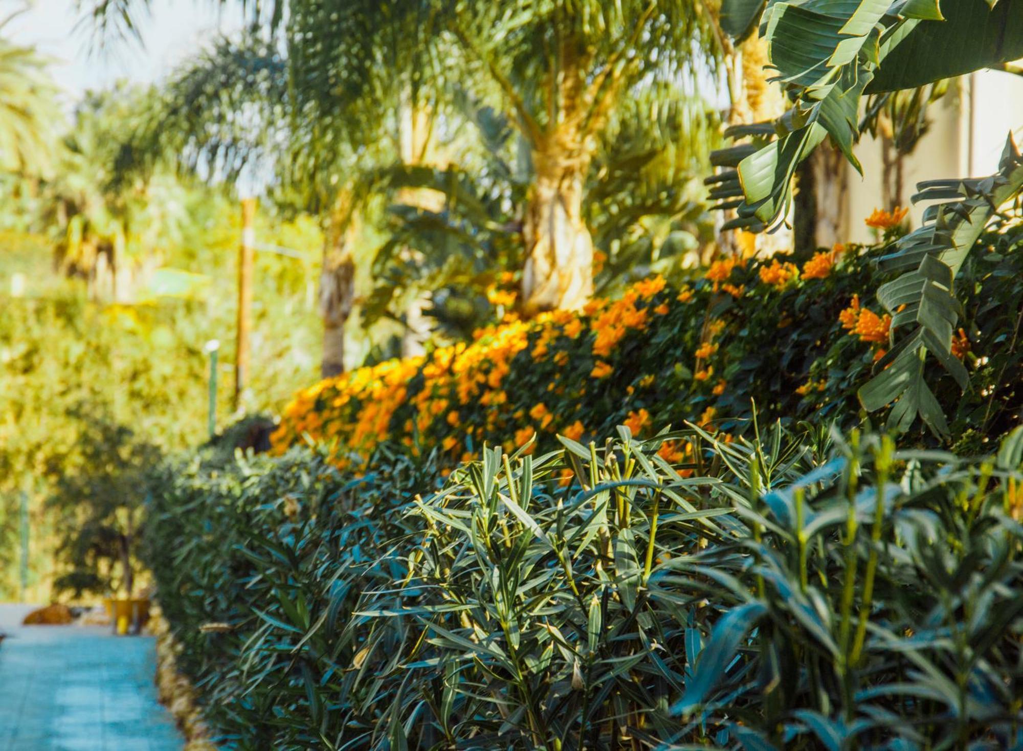 Sierra Blanca Resort Art Of Healing มาร์เบยา ภายนอก รูปภาพ